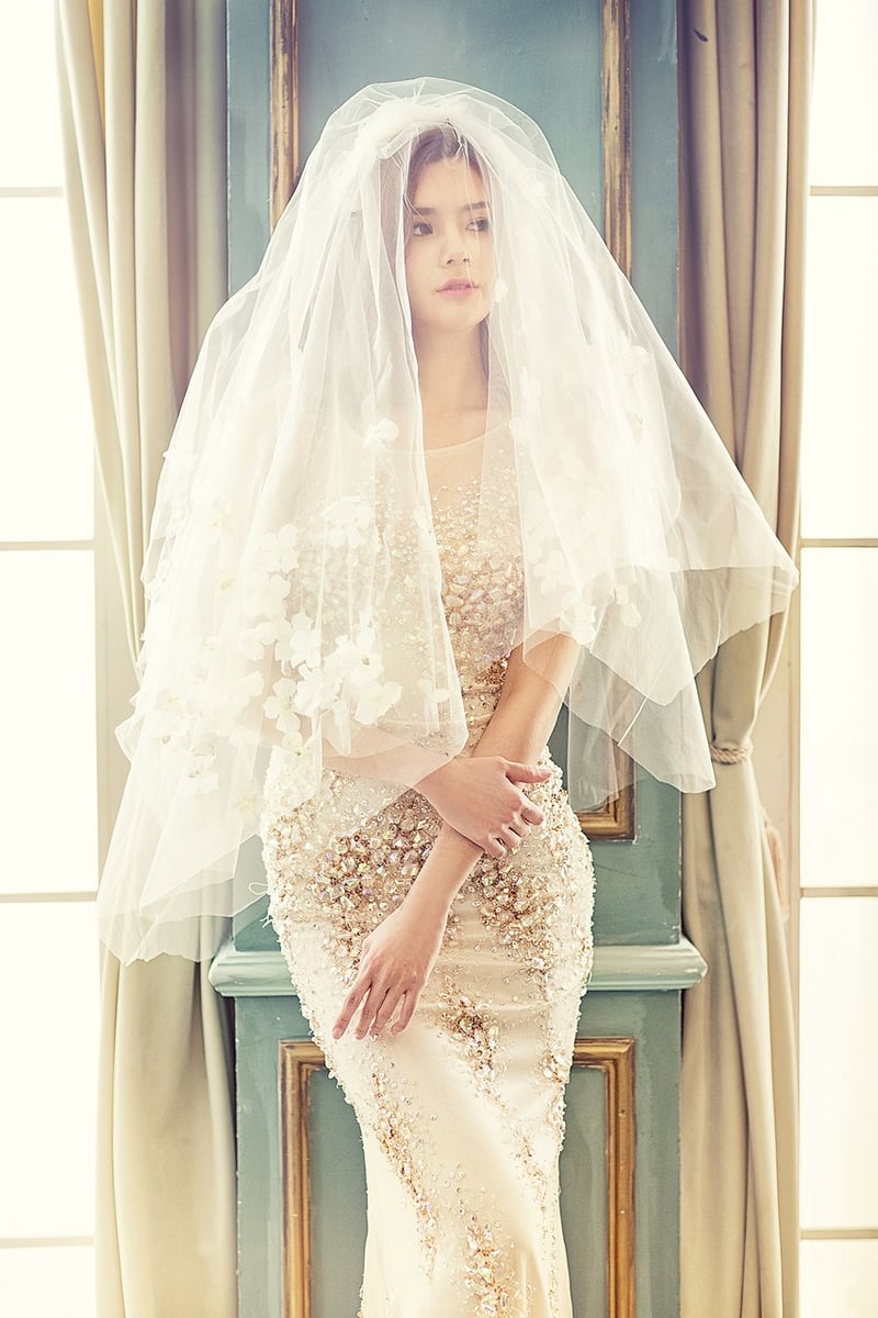 Elegant Veils