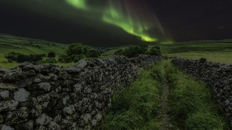 Magical Lights
